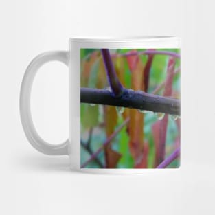 Fall Raindrops Mug